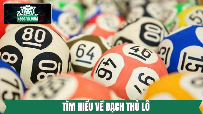 Khái quát về thuật ngữ bạch thủ lô